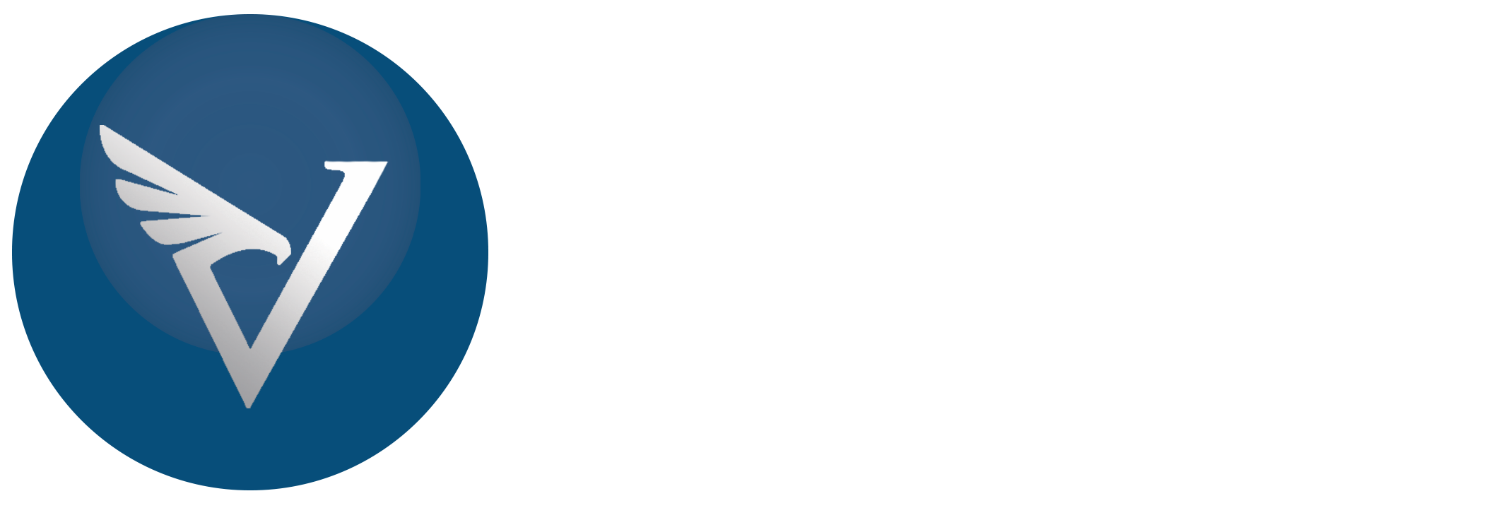 Vanguard Financial Services (VFS Tax)